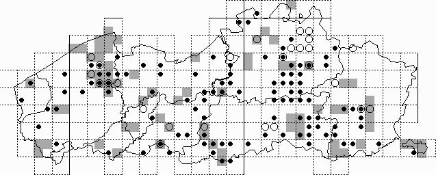 Kaart 41: Rosse woelmuis - Clethrionomys glareolus (1986-1997)