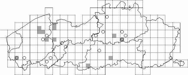 Kaart 26: Grijze grootoorvleermuis - Plecotus austriacus (1986-1997)